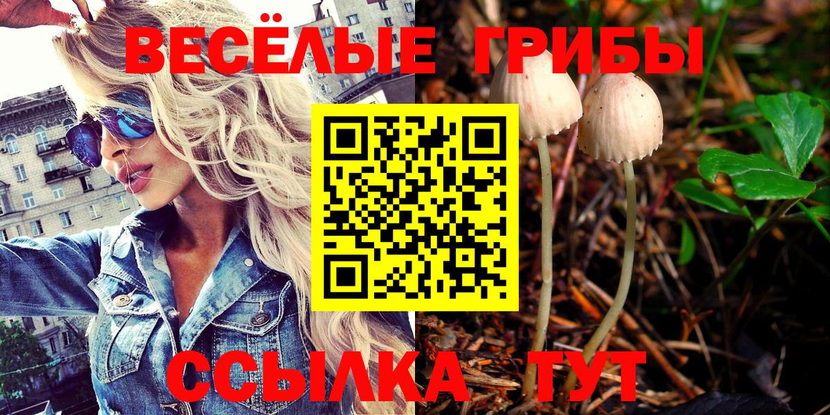 Нефтеюганск  Псилоцибиновые грибы мицелий  Вход с VPN  Псилоцибиновые грибы мухоморы 